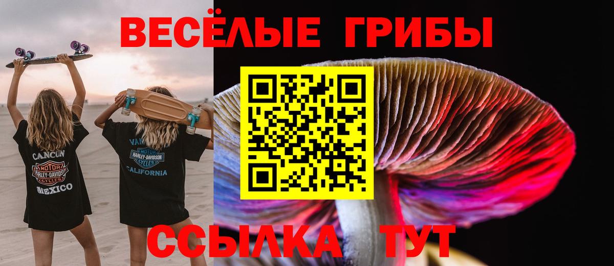 Псилоцибиновые грибы Psilocybe  Галлюциногенные грибы прущие грибы  Новошахтинск  Вход с VPN 