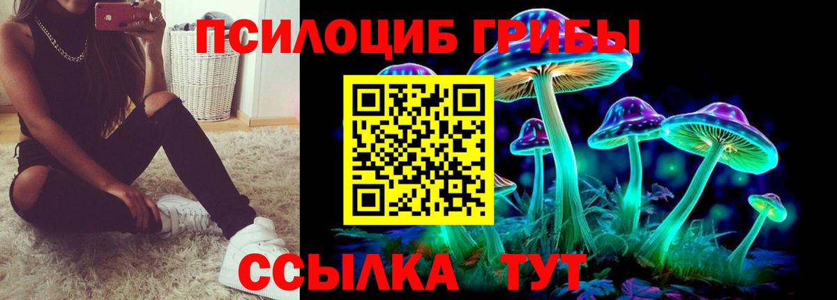 Галлюциногенные грибы мицелий Новошахтинск