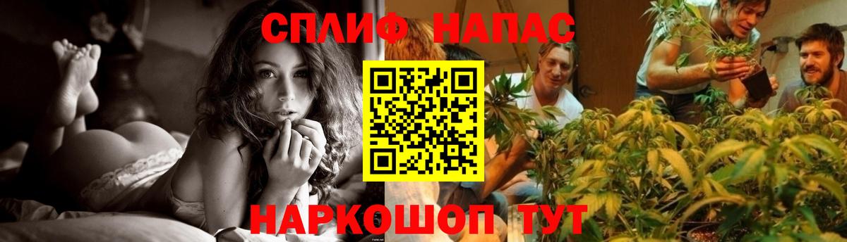 Марихуана планчик Новошахтинск